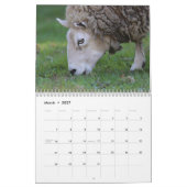 Calendrier Animaux de ferme (Mar 2027)