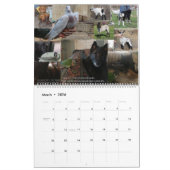 Calendrier Animaux de ferme : Chevaux, Chèvres, Animaux, Vola (Mar 2026)