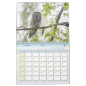 Calendrier Animaux de la forêt (Jan 2027)