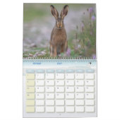 Calendrier Animaux de la forêt (Feb 2027)