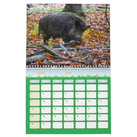 Calendrier Animaux de la forêt (Mar 2026)
