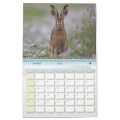 Calendrier Animaux de la forêt (Feb 2026)