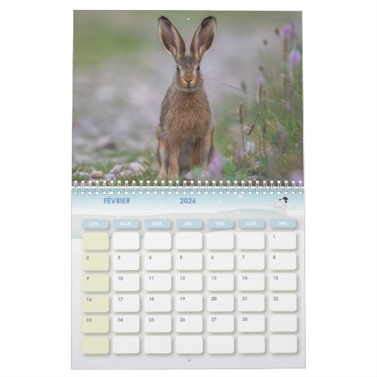 Calendrier Animaux de la forêt (Feb 2026)