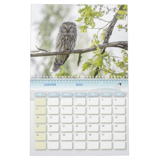 Calendrier Animaux de la forêt (Jan 2026)
