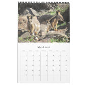 Calendrier animaux de l'australie 2025 (Mar 2026)
