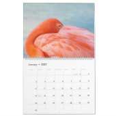 Calendrier Animaux de Plage (Jan 2027)