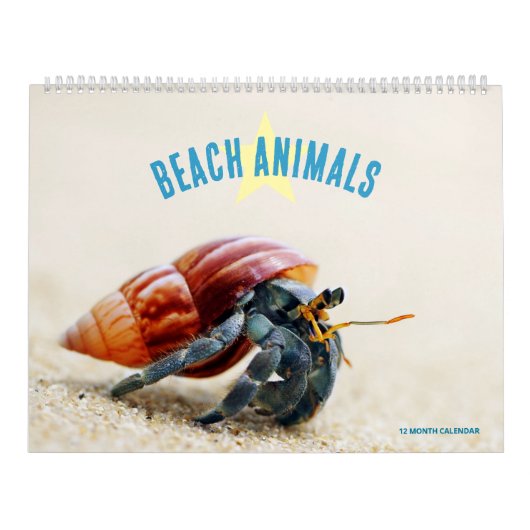 Calendrier Animaux de Plage (Protection)
