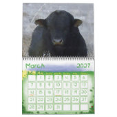 Calendrier Animaux de Ranch colorés (Mar 2027)