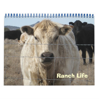 Calendrier Animaux de Ranch colorés