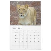 Calendrier Animaux de zoo de Brookfield (Feb 2026)
