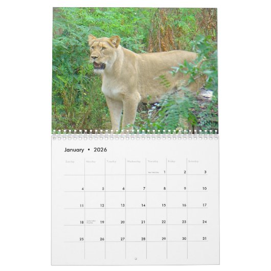 Calendrier Animaux de zoo de Brookfield (Jan 2026)