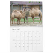 Calendrier Animaux de zoo de Brookfield (Mar 2027)