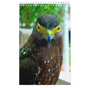 Calendrier Animaux et animaux de compagnie