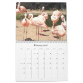 Calendrier Animaux Étonnants (Feb 2027)