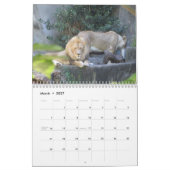 Calendrier Animaux Extraordinaires 2015 (Mar 2027)
