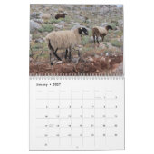 Calendrier Animaux Extraordinaires 2015 (Jan 2027)
