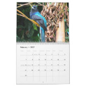 Calendrier Animaux Incroyables 2015 (Feb 2027)