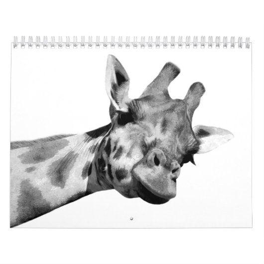 Calendrier Animaux noirs et blancs (Protection)