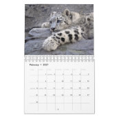 Calendrier Animaux pour bébés (Feb 2027)