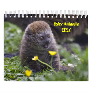 Calendrier Animaux pour bébés