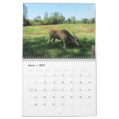 Calendrier Animaux sauvages (Mar 2027)