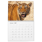 Calendrier Animaux sauvages 2025 (Jan 2027)