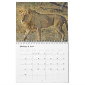 Calendrier Animaux sauvages 2025 (Feb 2027)