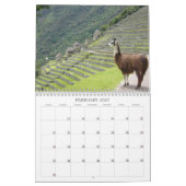 Calendrier animaux sauvages 2025 (Feb 2027)