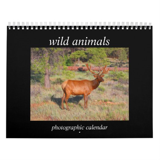 Calendrier animaux sauvages 2027 (Protection)