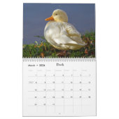 Calendrier Animaux Sauvages Mignons Et Drôle Pour Enfants #2 (Mar 2026)