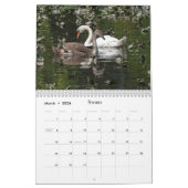 Calendrier Animaux Sauvages Pour Les Enfants (Mar 2026)