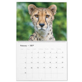 Calendrier Animaux Vous Regardant (Feb 2027)