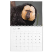 Calendrier Animaux Vous Regardant (Mar 2027)