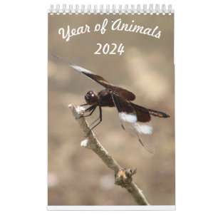 Calendrier Année des animaux
