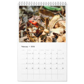 Calendrier Année des animaux (Feb 2026)