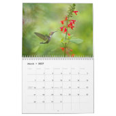 Calendrier Année des colibris (Mar 2027)