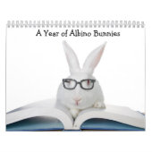 Calendrier Année des lapins albinos (Protection)