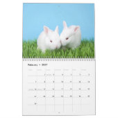 Calendrier Année des lapins albinos (Feb 2027)