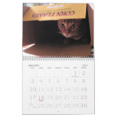 Calendrier Année du chat du Bengale (Jan 2027)