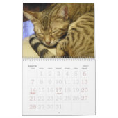 Calendrier Année du chat du Bengale (Mar 2027)