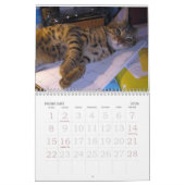 Calendrier Année du chat du Bengale (Feb 2026)