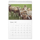 Calendrier annuel 2018 de chèvres (Feb 2027)