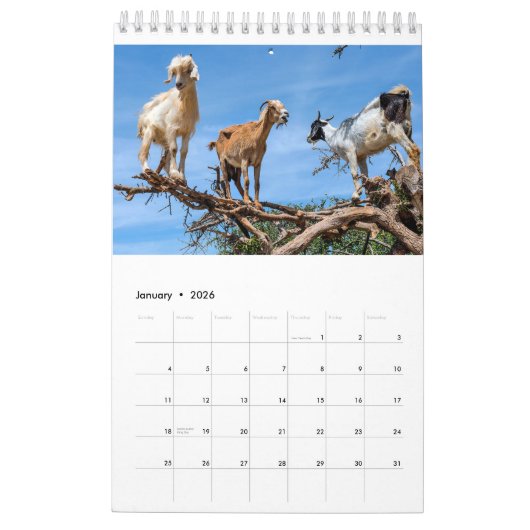 Calendrier annuel 2018 de chèvres (Jan 2026)