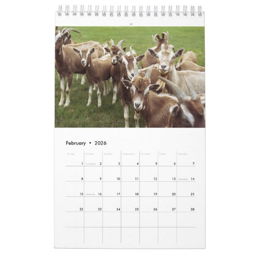 Calendrier annuel 2018 de chèvres (Feb 2026)