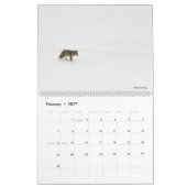 Calendrier annuel de la nature et de la faune 2020 (Feb 2027)