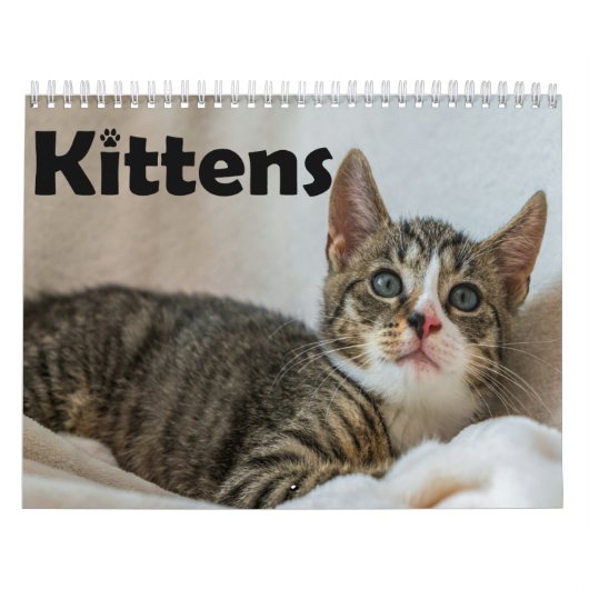 Calendrier annuel de photos de chatons animaux de (Protection)