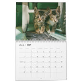 Calendrier annuel de photos de chatons animaux de (Mar 2027)