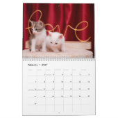 Calendrier annuel de photos de chatons animaux de (Feb 2027)