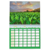 Calendrier annuel des saisons (Mar 2027)