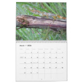 Calendrier Anoles 2012 (Mar 2026)